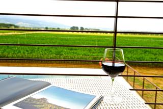 Agriturismo Sant'Uberto - Bolgheri - 2