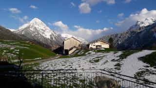 Panoramahof Eggele - Schoppernau - 3