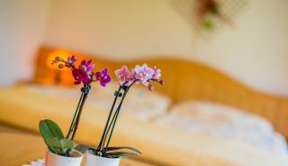 Alpenhotel zur Wildi Lauchernalp - Wiler - 6