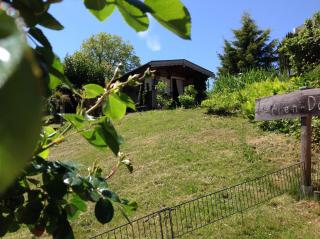 Ferienwohnung Casa Natura - Reichelsheim - 1