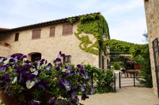 Agriturismo Poggio del Bolognino - Lugnano in Teverina - 4