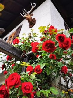 Gästehaus Neu am Passionstheater - Oberammergau - 4