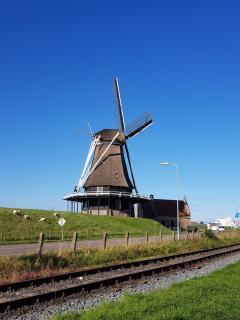 De Stadshoeve - Medemblik - 4