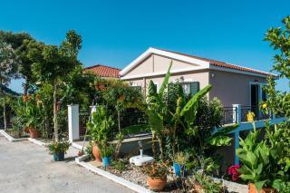 Seapine Studios - Lassi - 2