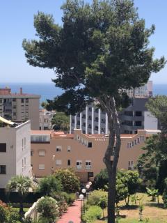 Sol y Paz - 5