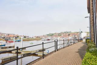 Host & Stay - Seal Watch - 5