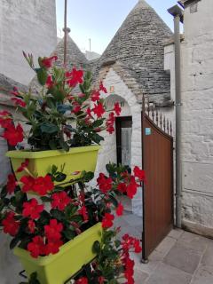 Trulli Family - Trulli&Cummerse - 5