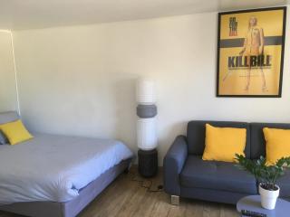 T2 de la Bastide Rouge vue exceptionnelle (180°) sur Aix domaine privé T2 indépendant de 37 m2 avec terrasse exposée plein sud Piscine 10 X 5 - 7