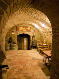 Hotel Vinař - Bed & Breakfast - 1