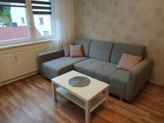 Apartmán Tereza - Kraslice - 8