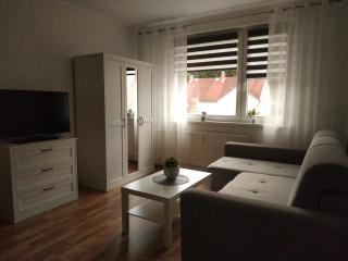 Apartmán Tereza - Kraslice - 5
