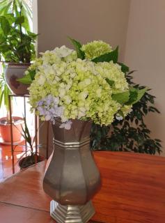 Hotel do Cerrado - Lamego - 1