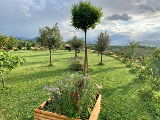 B&B La Casa Del Sole - Sala Baganza - 8