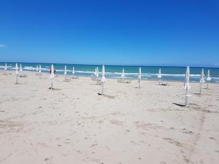 B&B ALUSEA - Silvi Paese - 9