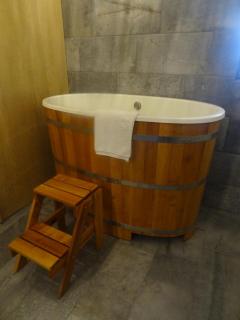 Apartmá s vlastní saunou - Lipník nad Bečvou - 4