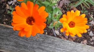 Happy Days B&B - Giove - 5