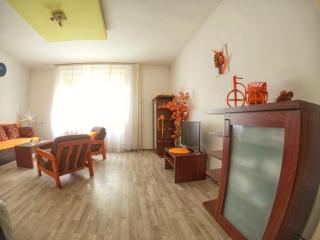 Nica Apartman Novi Sad - 4