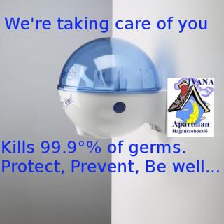 Ivana Holiday Haus - 1