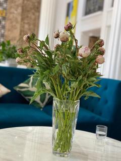 Ngọc Lan Hạ Long Hotel - 6