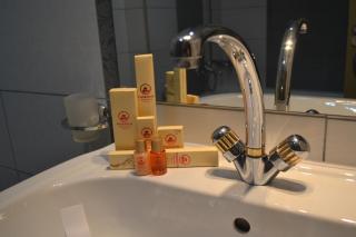 Phoenicia Express Hotel - Bukarest - 1