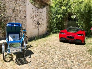 Les Cailloux Dorés - Massillargues-Attuech - 4