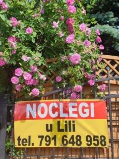 Noclegi u Lili - 0