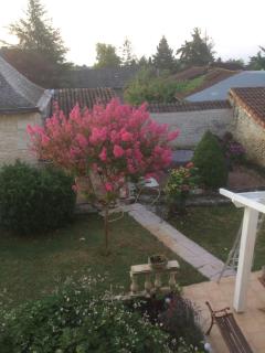 La Tour de Gué - Mirebeau - 1