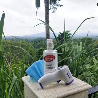 Forestdale Coorg - Virajpet - 2