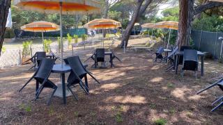 Hotel Paradiso Verde - Marina di Bibbona - 2