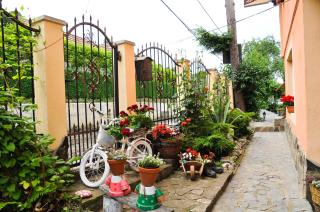 Pensiunea Ana Cristina - Sighişoara - 1