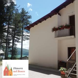 Dimora nel bosco - Lorica - 9