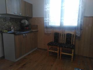 Town House on Ropotamo str. - 7