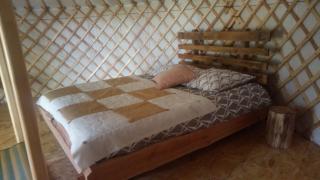 2 Yourtes au naturel - Druyes-les-Belles-Fontaines - 3