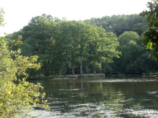 La Roulotte CHAINOUX - Bains-sur-Oust - 1