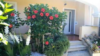 Casa Dolce Hibiscus - Olbia - 9