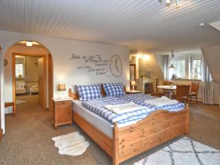 Attractive apartment in Franconia with garden - Weißenbrunn - 6