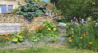 Vineyard Garden Studio - 1