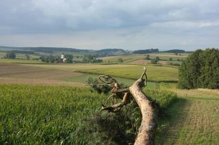 Angela Steiger - Bad Griesbach im Rottal - 4