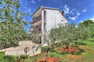 Brezac olive garden apartment - Fasana (Fažana) - 6