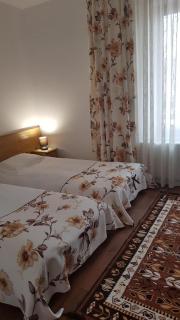 PENSIUNEA BERCA - Berca - 3