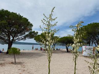 Family Apartments Vesna- 100 m Beach -Center Crikvenica - Crikvenica - 3
