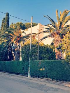 Casa Andromeda - Gallipoli - 7