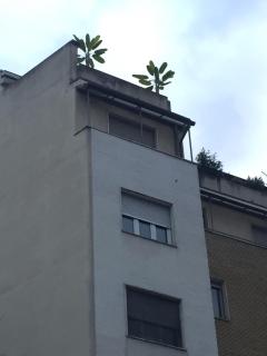 Attico Lux Turin - Torino - 6