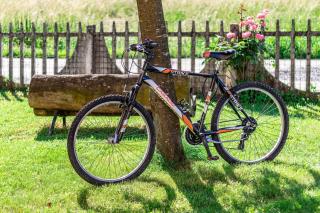 Quick Home Garden Apt - 6