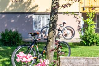 Quick Home Garden Apt - Alice Castello - 5