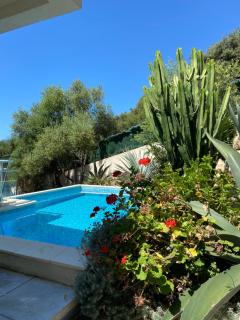 VIzzavona piscine et jacuzzi - Ajaccio - 9