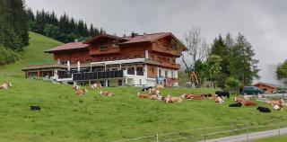 Berghaus Koglmoos - 0