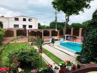 Villa Bogdan - Agigea - 1