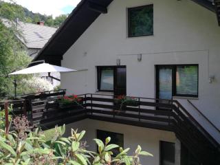 Apartment KLEMEN - Bohinjska Bela - 6