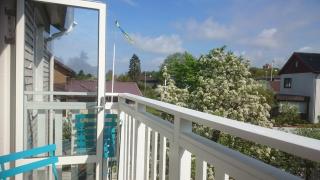 Ljust boende, egen ingång och trädgård i centrum - 7